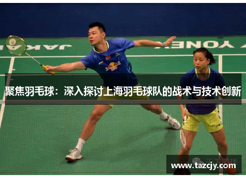 聚焦羽毛球：深入探讨上海羽毛球队的战术与技术创新